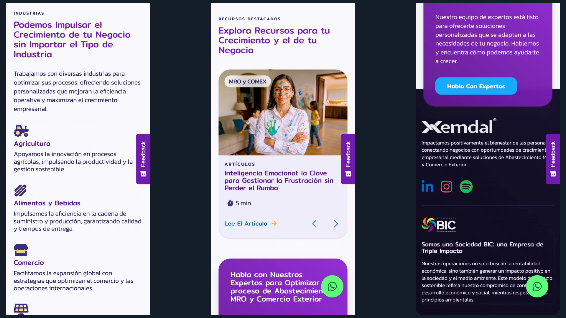 Image Project Design